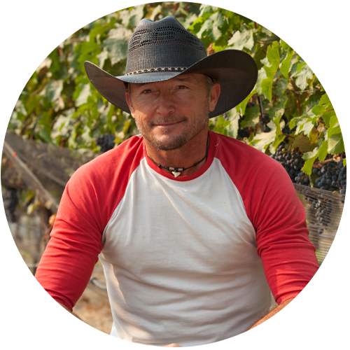 Steve Roche - Vineyard & Operations Manager
