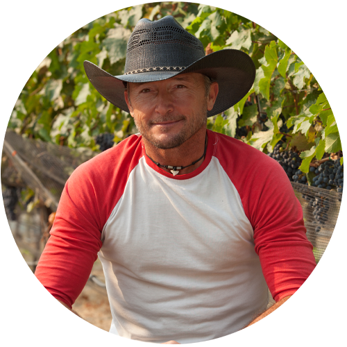 Steve Roche - Vineyard & Operations Manager