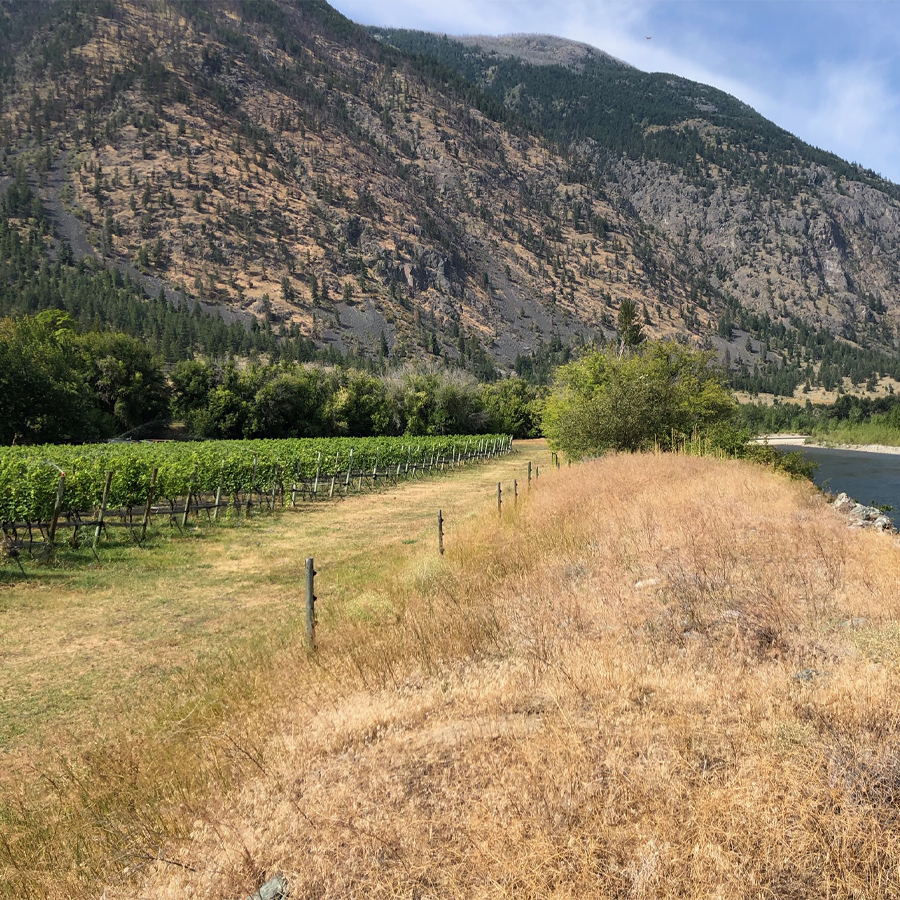 Clos du Soleil's newest acquisition – Whispered Secret Vineyard – lies nestled between sheer rock faces to the south and the Similkameen river to the north.