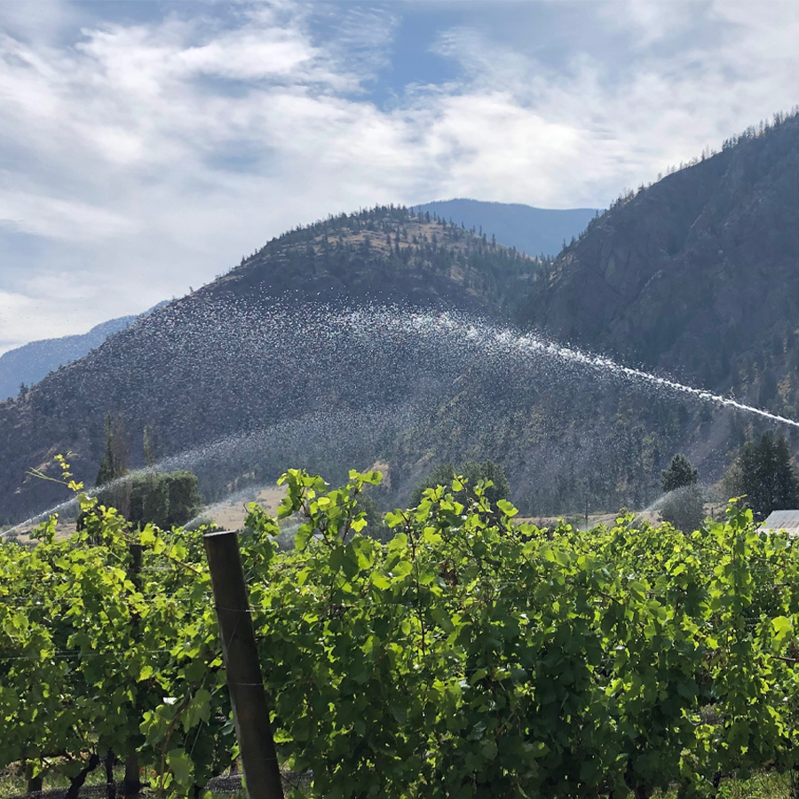 Whispered Secret Vineyard in the Similkameen Valley, Bc