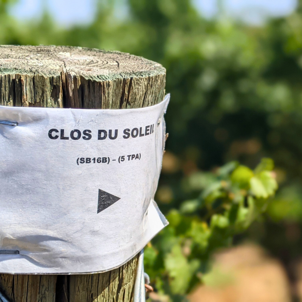 Clos du Soleil has partnered with two WA vineyards for some exciting new wines